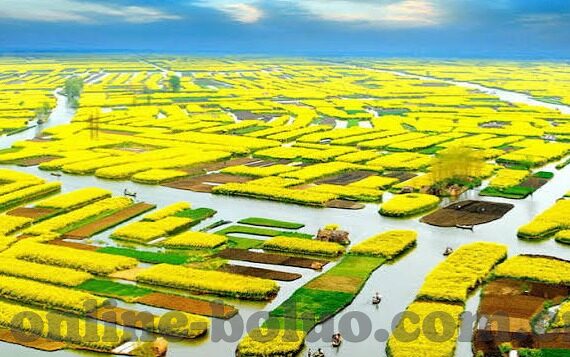 麻豆社区app-麻豆社区app的虚拟社交新体验，深化线上互动与文化共享