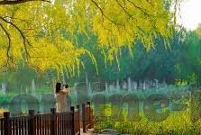 糖心vlog娜娜-糖心Vlog背后的日常，娜娜的精彩瞬间