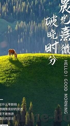 糖心vlog有哪些演员-糖心Vlog，那些迷人的屏幕角色