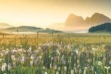 亚洲麻豆av一区二区-瞭望新视点，探索亚洲多媒体内容与文化交织的奇妙空间